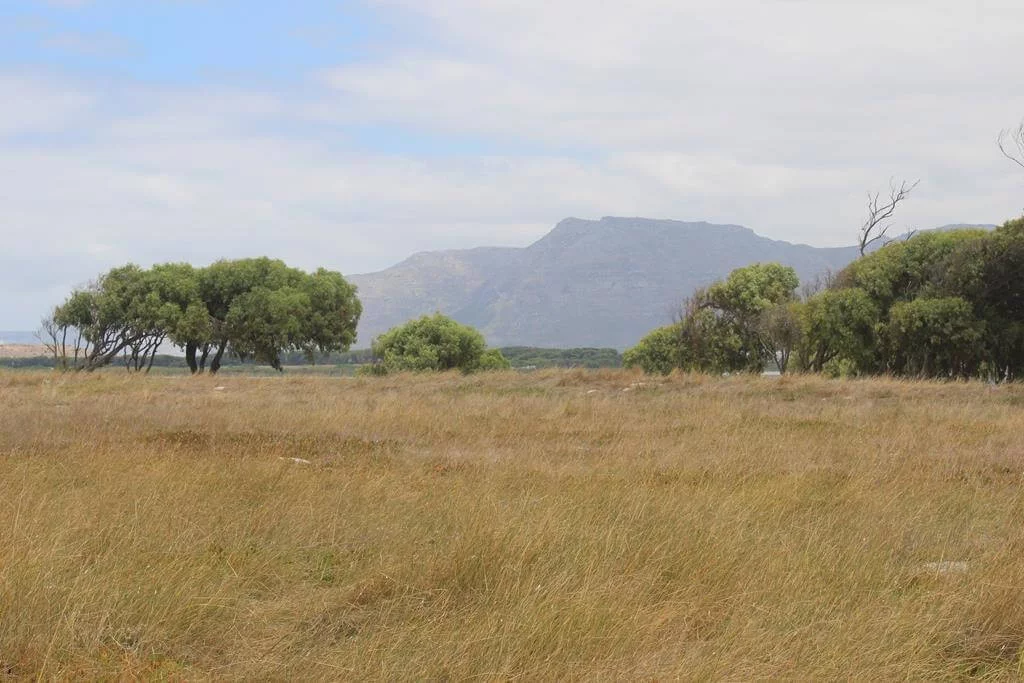 African Safari Locations
